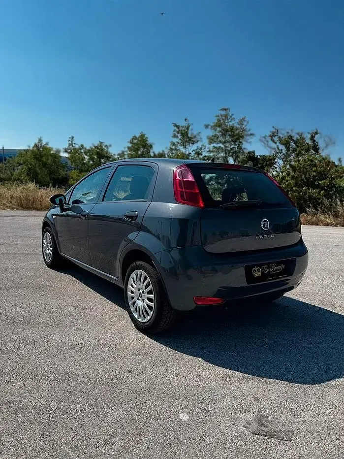 Usata Fiat Punto Lounge 69 CV (50 kW) 2015 Grigio Utilitaria