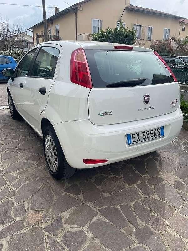 Usata Fiat Punto Easy 69 CV (50 kW) 2014 Utilitaria