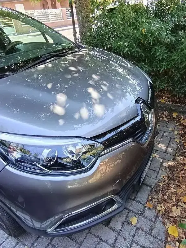 Usata Renault Captur 90 CV (66 kW) 2013 SUV