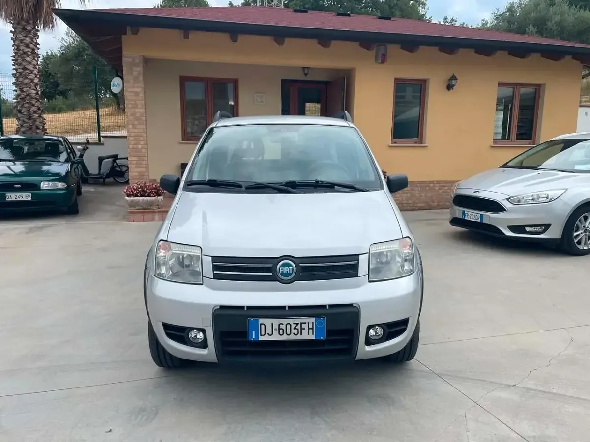 Usata Fiat Panda 4x4 69 CV (50 kW) 2007 Grigio Utilitaria