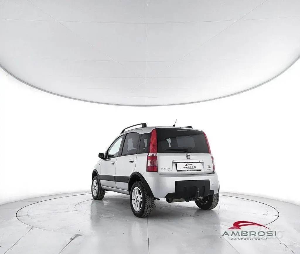 Usata Fiat Panda 4x4 Cross 69 CV (50 kW) 2007 Grigio Utilitaria