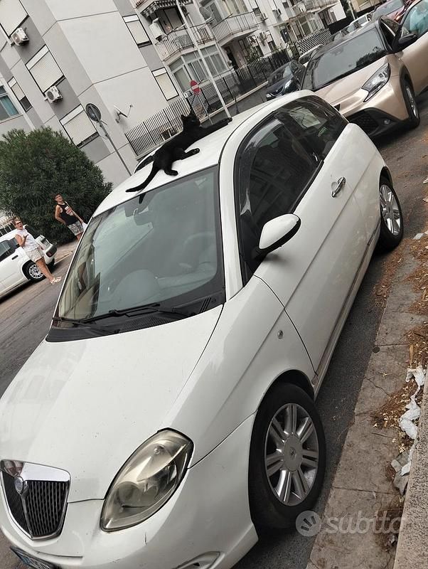 Usata Lancia Ypsilon 2009 Utilitaria