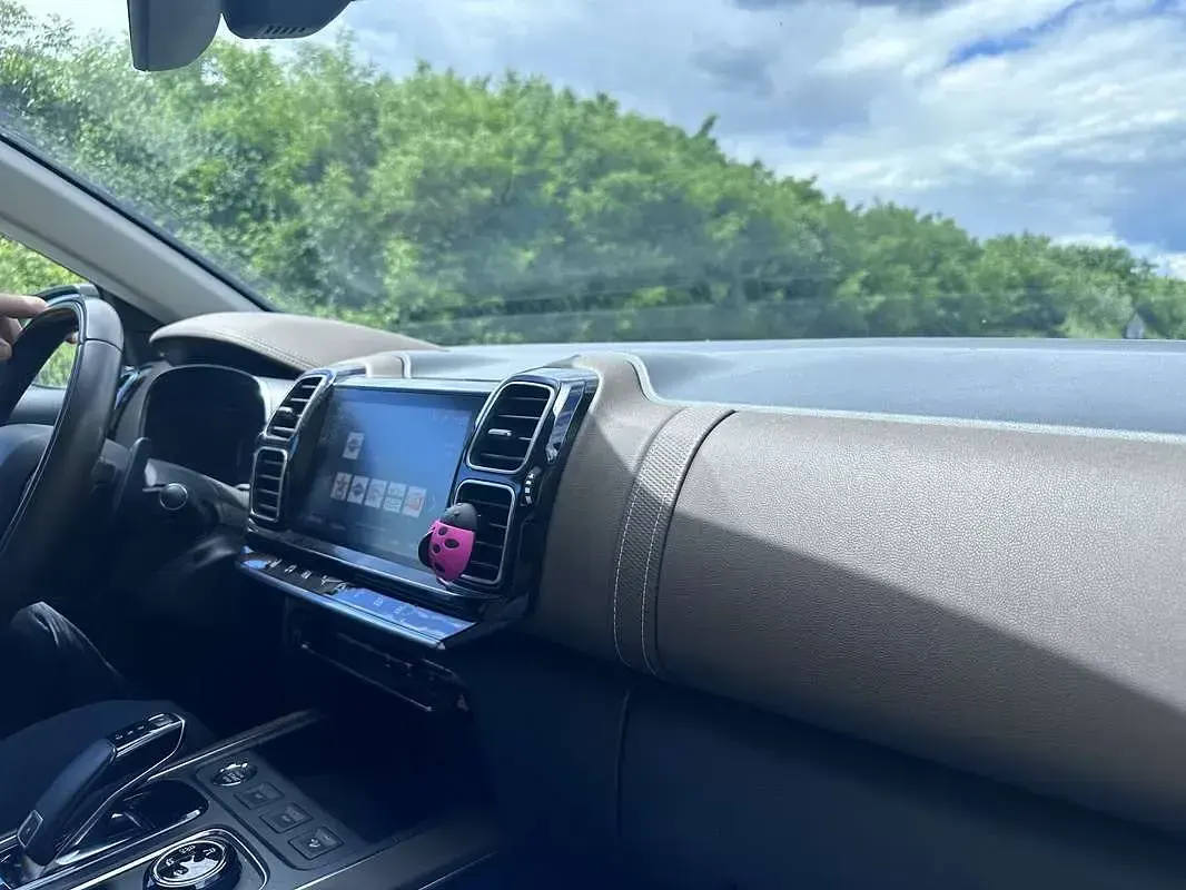 Usata Citroën C5 Aircross Shine 177 CV (130 kW) 2020 Grigio SUV