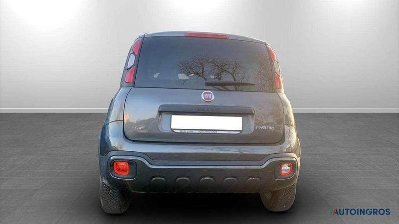 Usata Fiat Panda Cross Cross 69 CV (50 kW) 2023 Grigio Utilitaria