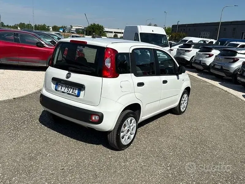 Usata Fiat Panda Easy 70 CV (51 kW) 2019 Bianco Utilitaria