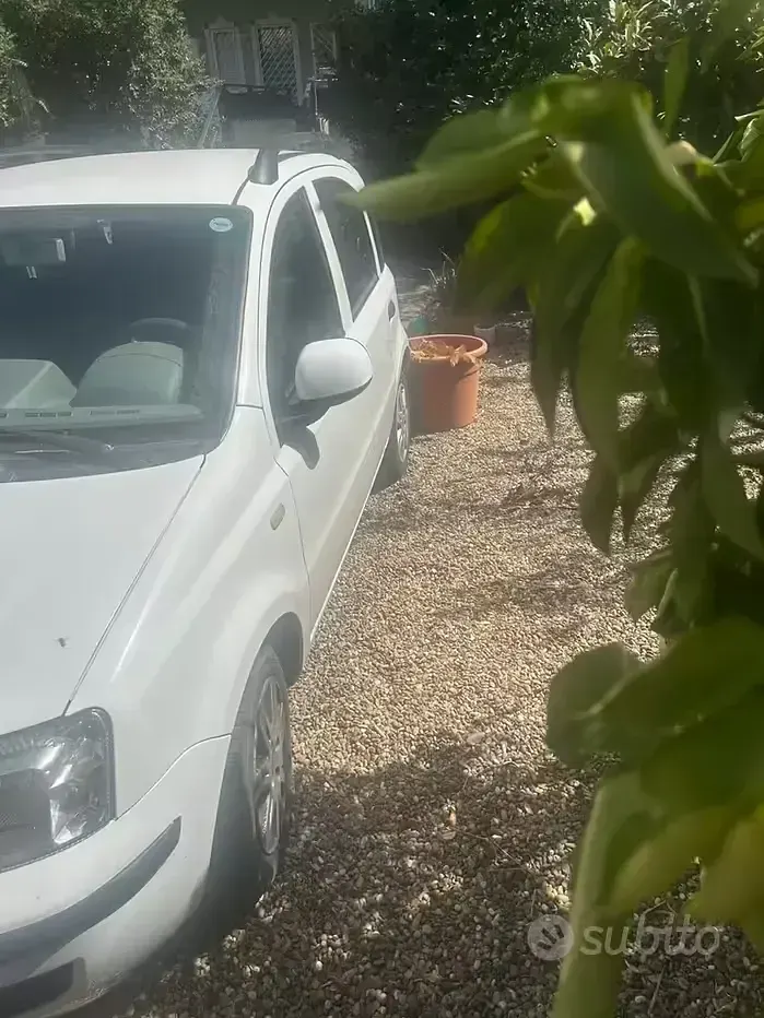 Usata Fiat Panda 69 CV (50 kW) 2006 Bianco Utilitaria