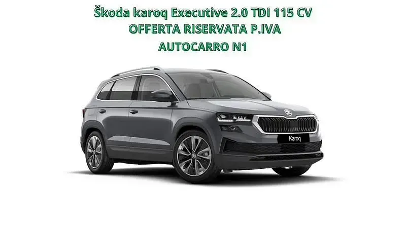 Usata Skoda Karoq Executive 116 CV (85 kW) 2025 SUV
