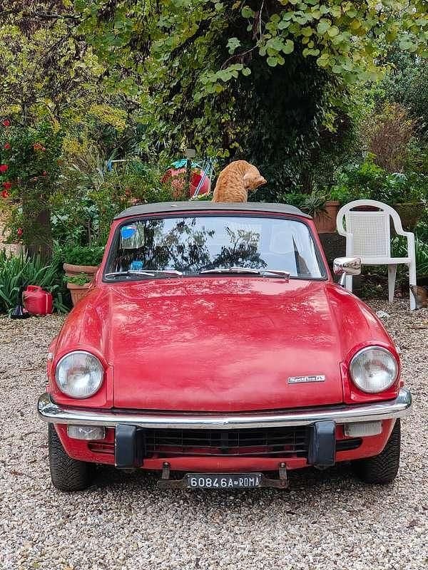 Usata Triumph Spitfire 75 CV (55 kW) 1972 Rosso Cabrio