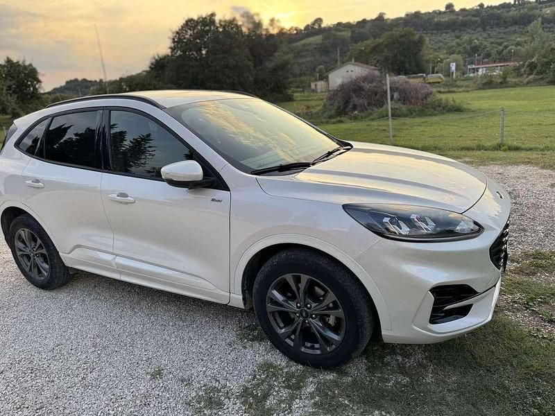 Usata Ford Kuga ST-Line 152 CV (111 kW) 2023 Bianco SUV