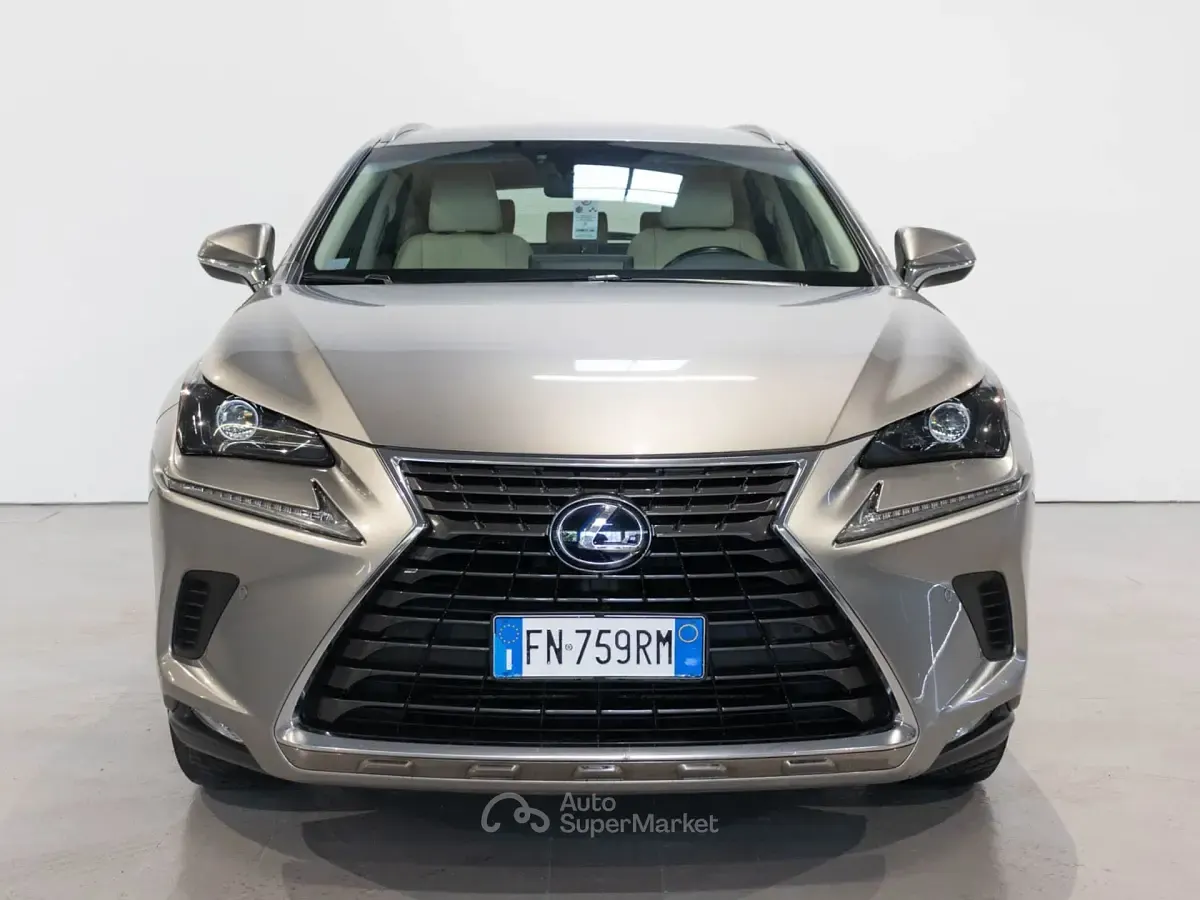Usata Lexus NX300h Luxury Line 199 CV (146 kW) 2018 Gray SUV