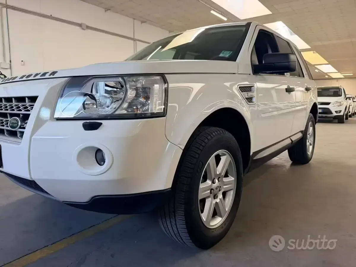 Usata Land Rover Freelander 2 HSE 160 CV (117 kW) 2010 Bianco SUV