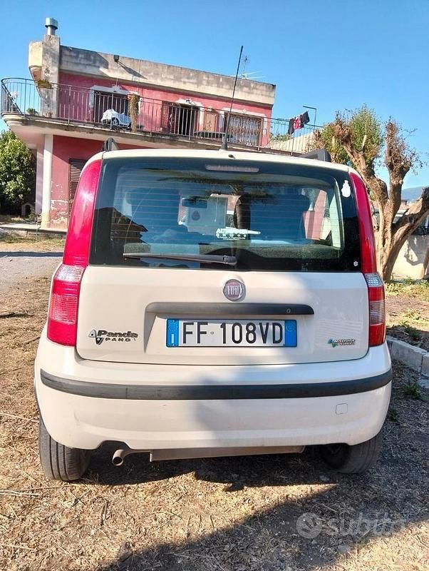 Usata Fiat Panda 60 CV (44 kW) 2008 Bianco Utilitaria