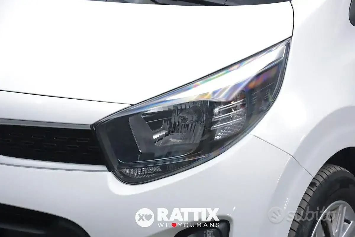 Usata Kia Picanto Urban 67 CV (49 kW) 2024 Bianco Utilitaria