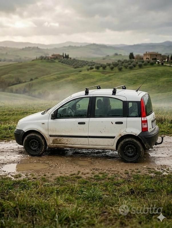 Usata Fiat Panda 4x4 Climbing 60 CV (44 kW) 2006 Bianco Utilitaria