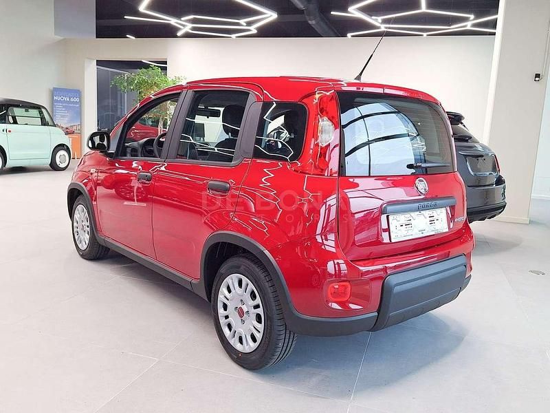 Usata Fiat Panda S 69 CV (50 kW) 2024 Rosso Utilitaria