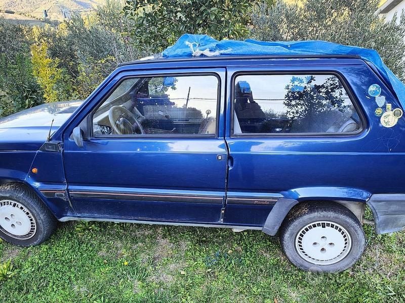 Usata Fiat Panda 54 CV (39 kW) 2001 Blu Utilitaria
