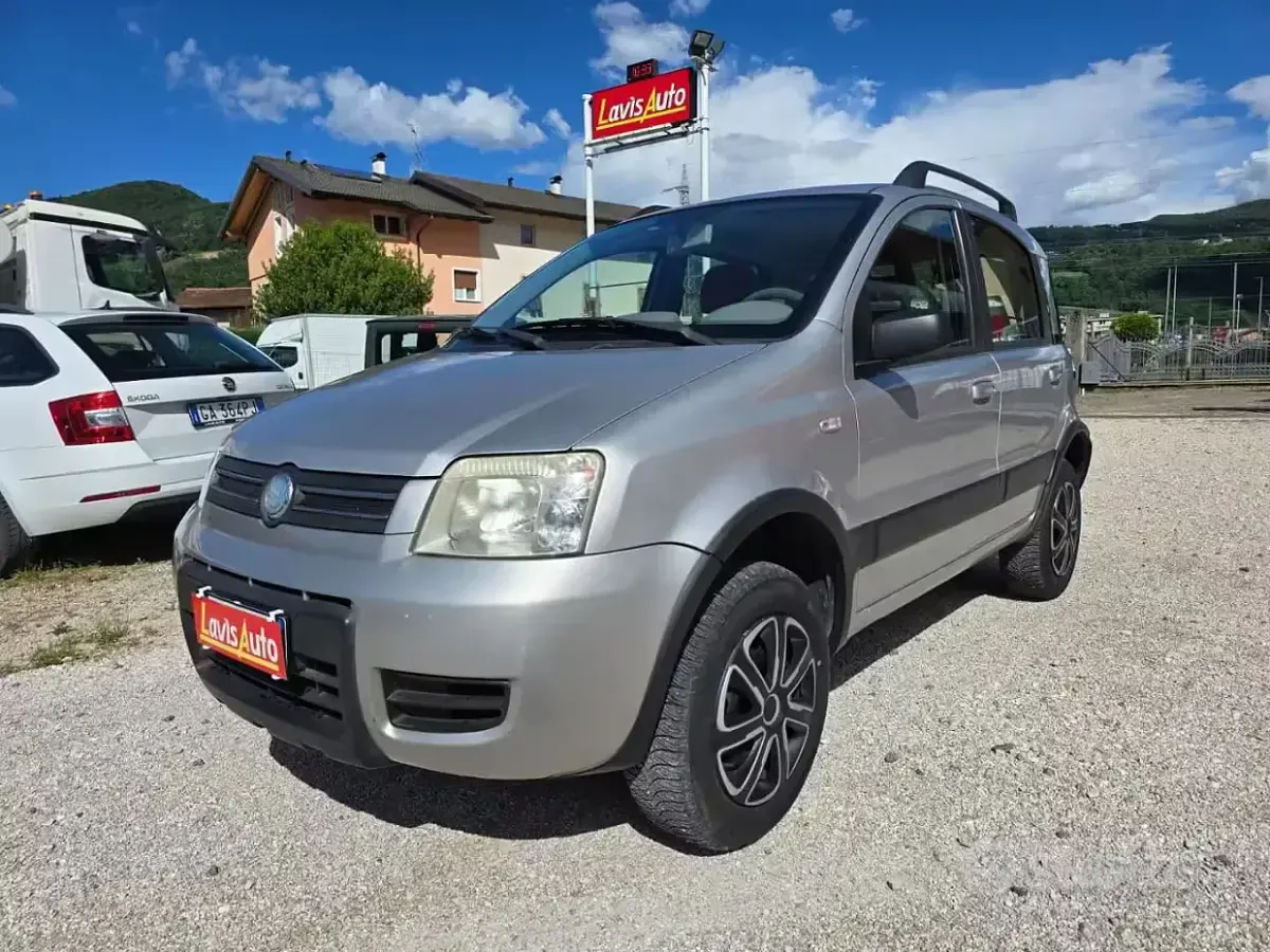 Usata Fiat Panda 4x4 69 CV (50 kW) 2006 Grigio Utilitaria
