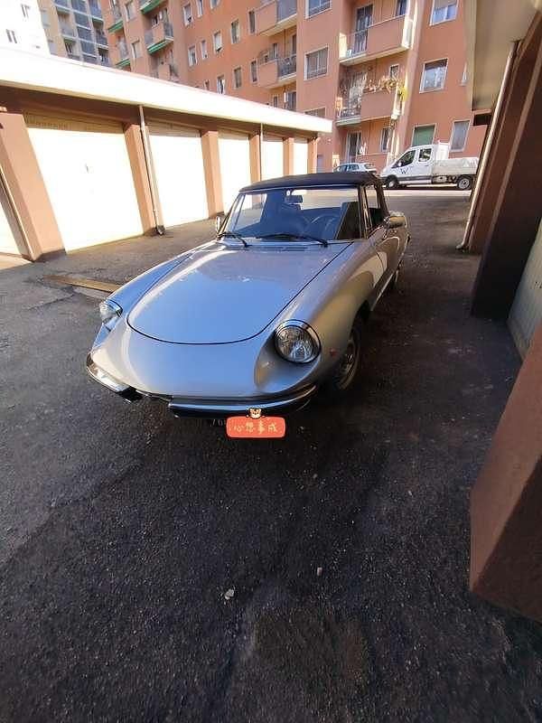 Usata Alfa Romeo Spider Veloce 104 CV (76 kW) 1981 Grigio Cabrio