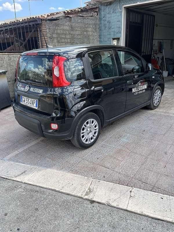 Usata Fiat Panda Icon 69 CV (50 kW) 2025 Utilitaria