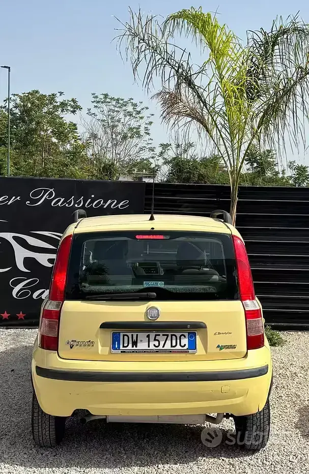 Usata Fiat Panda Active 60 CV (44 kW) 2010 Giallo Utilitaria