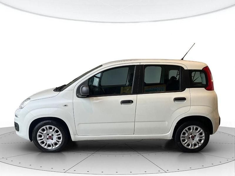 Usata Fiat Panda Easy 80 CV (58 kW) 2018 Bianco gelato Utilitaria