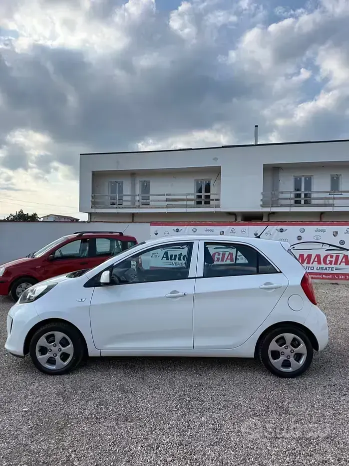 Usata Kia Picanto 67 CV (49 kW) 2016 Bianco Utilitaria