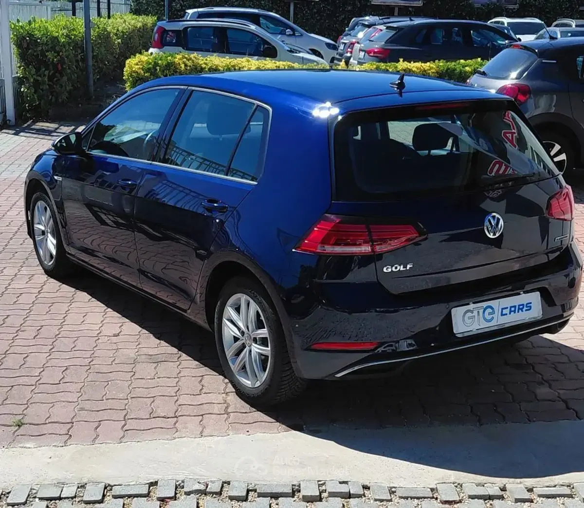 Usata VW Golf VIII 131 CV (96 kW) 2020 Blu Berlina