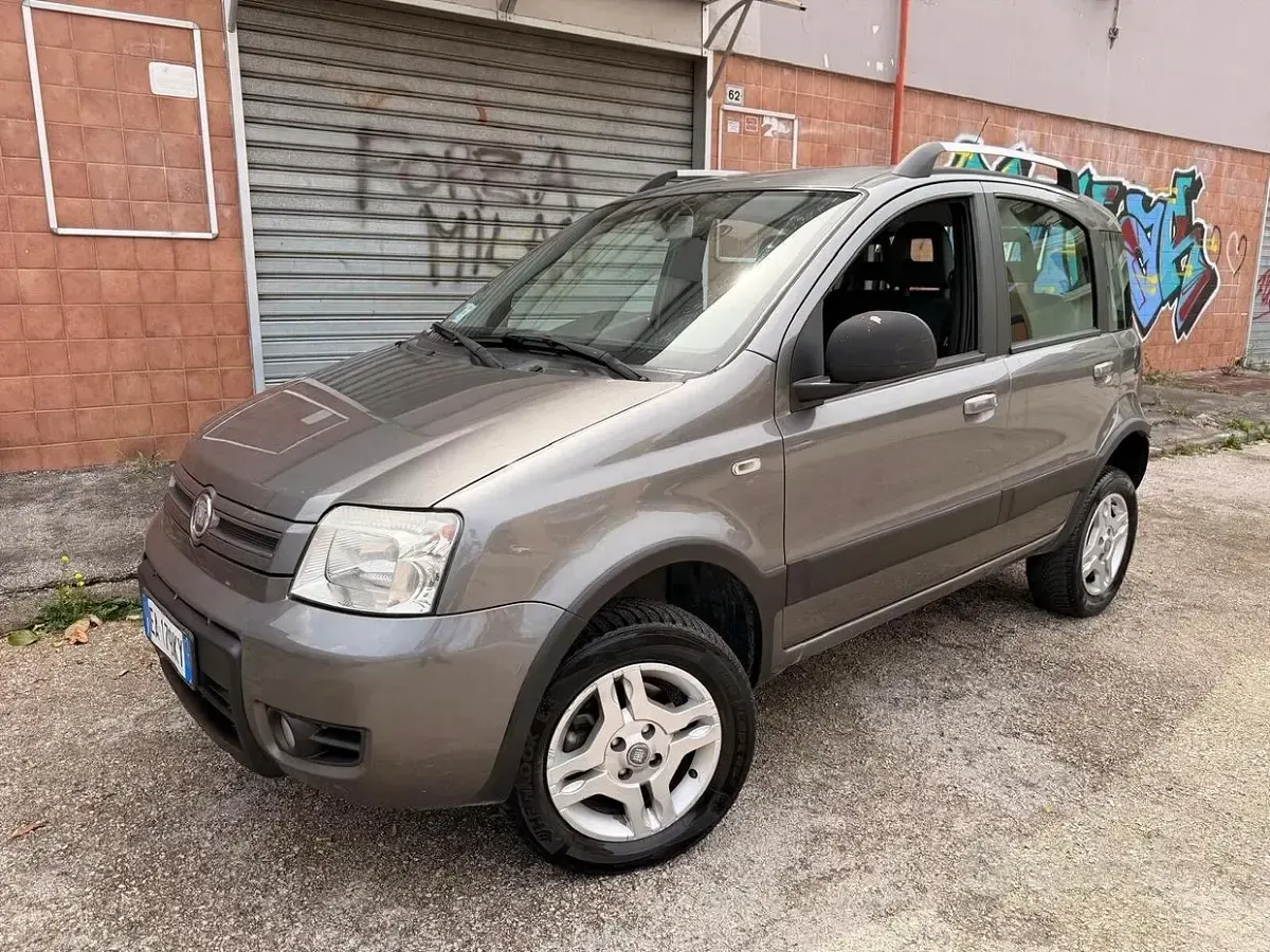 Usata Fiat Panda 4x4 Climbing 75 CV (55 kW) 2012 Grigio Utilitaria