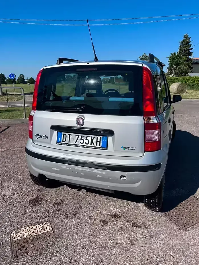 Usata Fiat Panda Dynamic 60 CV (44 kW) 2009 Grigio Utilitaria