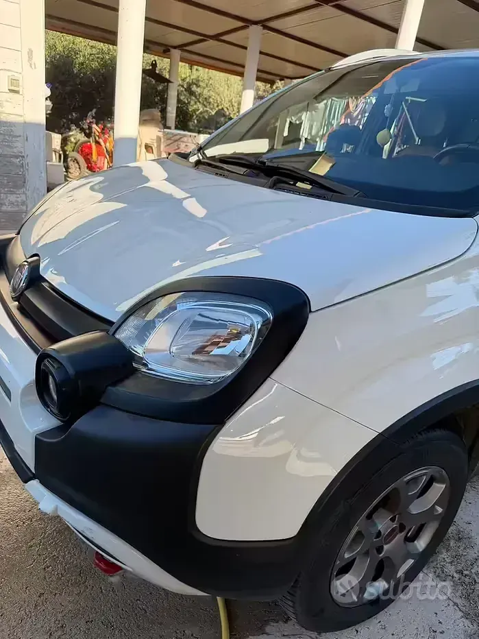 Usata Fiat Panda Cross 75 CV (55 kW) 2013 Utilitaria