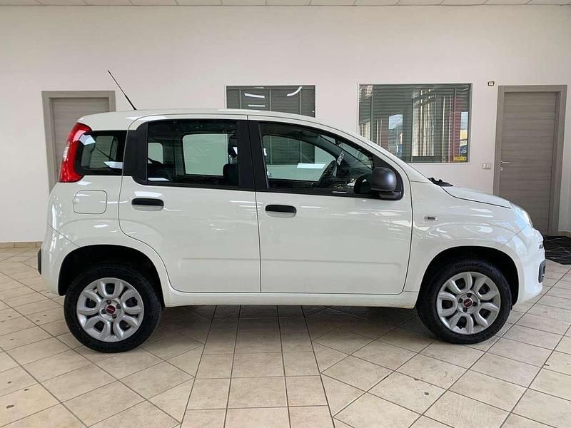 Usata Fiat Panda Easy 71 CV (52 kW) 2019 Bianco Utilitaria