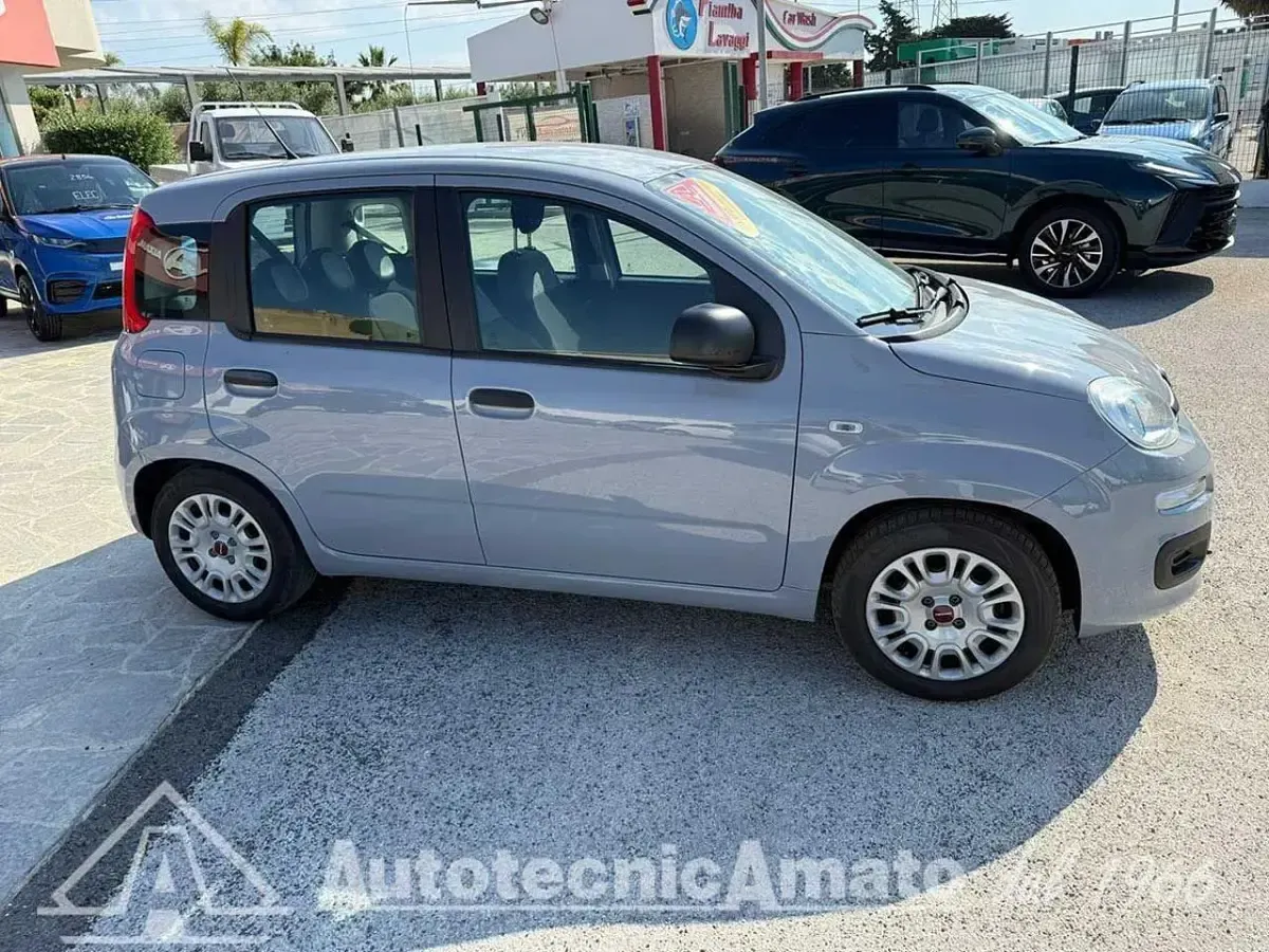 Usata Fiat Panda S 69 CV (50 kW) 2022 Giallo Utilitaria