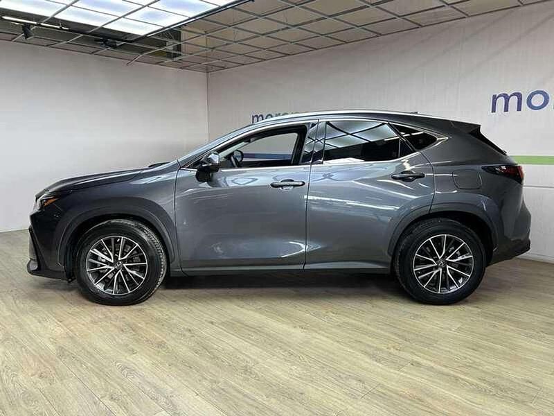 Usata Lexus NX350h 243 CV (178 kW) 2022 Grigio SUV