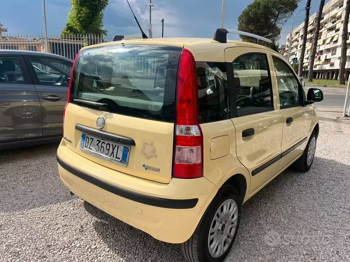 Usata Fiat Panda Dynamic 60 CV (44 kW) 2009 Giallo Utilitaria