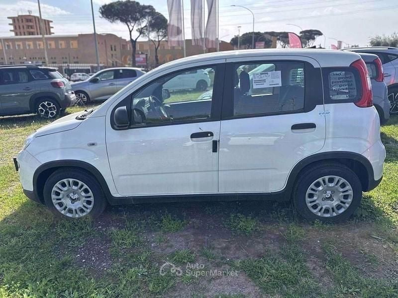 Nuova Fiat Panda Pop 70 CV (51 kW) 2025 Bianco Utilitaria