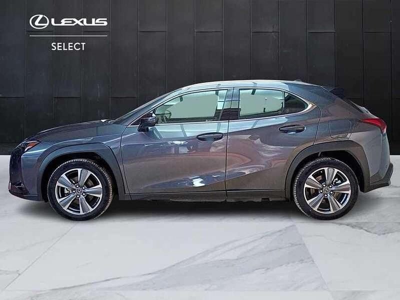 Usata Lexus UX 300e Luxury Line 56 kW (77 CV) 2024 Grigio SUV