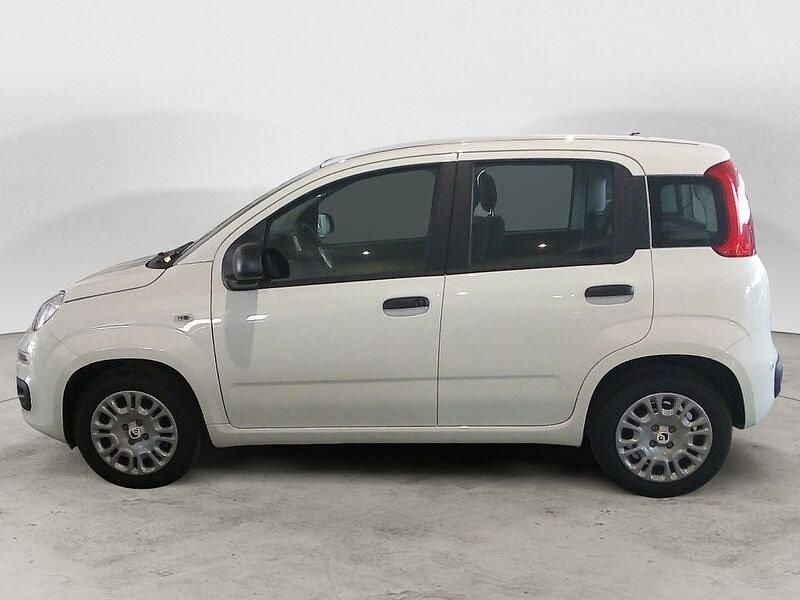 Nuova Fiat Panda Icon 69 CV (50 kW) 2025 Bianco Utilitaria