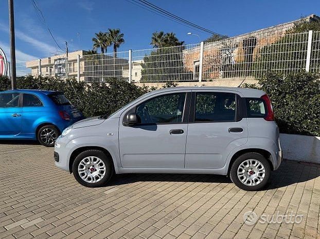 Usata Fiat Panda Easy 69 CV (50 kW) 2019 Grigio Utilitaria
