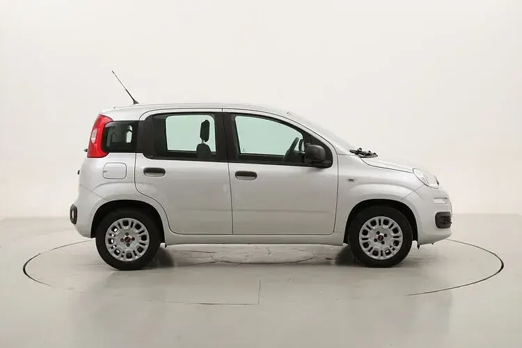Usata Fiat Panda Easy 69 CV (50 kW) 2017 Utilitaria