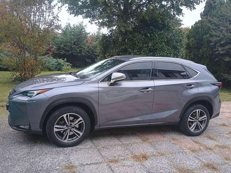 Usata Lexus NX300h Executive Line 155 CV (114 kW) 2014 SUV