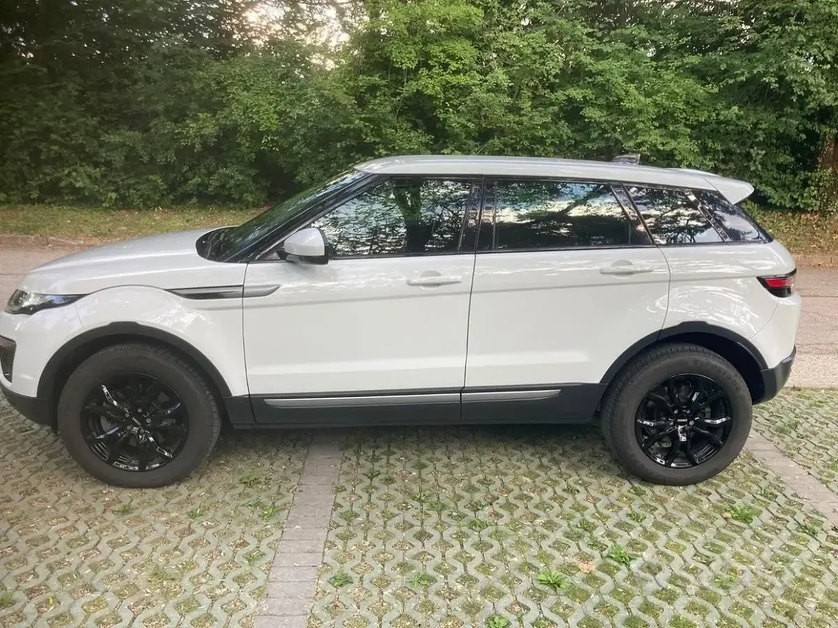 Usata Land Rover Range Rover evoque 150 CV (110 kW) 2018 Bianco SUV