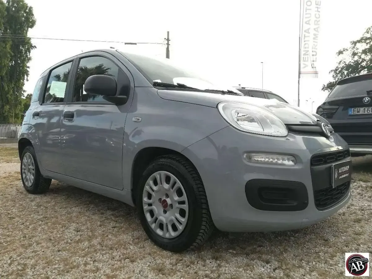 Usata Fiat Panda S 69 CV (50 kW) 2021 Grigio chiaro Utilitaria
