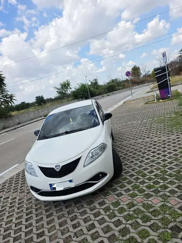 Usata Lancia Ypsilon Platinum 69 CV (50 kW) 2016 Bianco Utilitaria