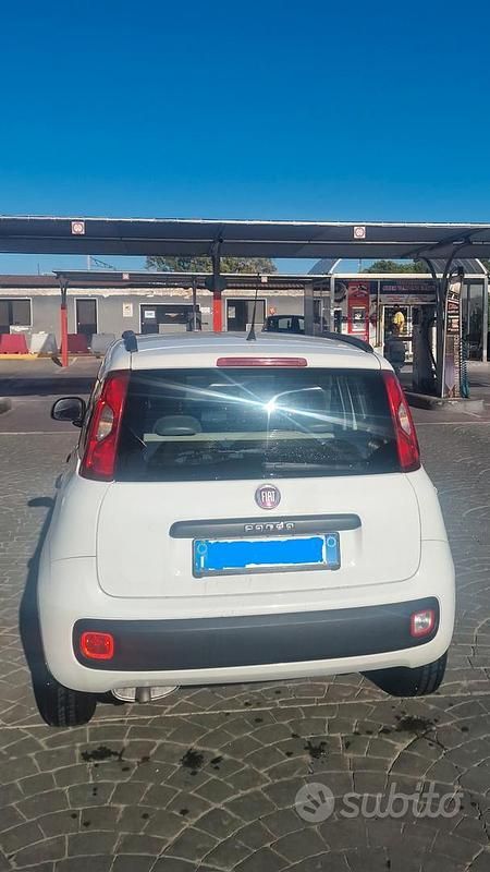 Usata Fiat Panda 75 CV (55 kW) 2013 Bianco Utilitaria