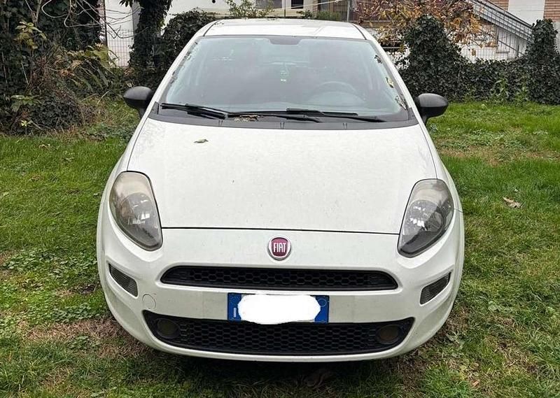 Usata Fiat Punto Lounge 75 CV (55 kW) 2013 Bianco Berlina
