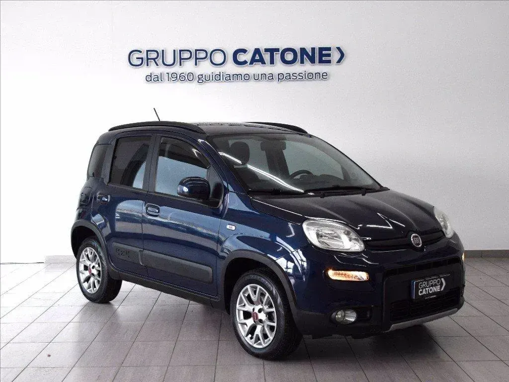 Usata Fiat Panda 4x4 S 95 CV (69 kW) 2017 Blu Utilitaria