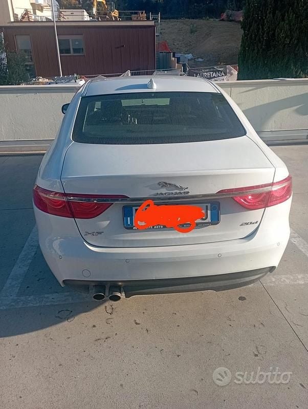 Usata Jaguar XF 240 CV (176 kW) 2015 Bianco Berlina