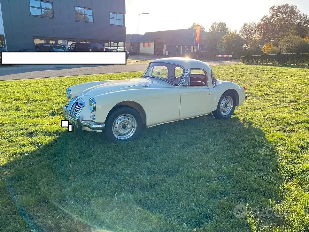 Usata MG C 68 CV (50 kW) 1960 Coupé