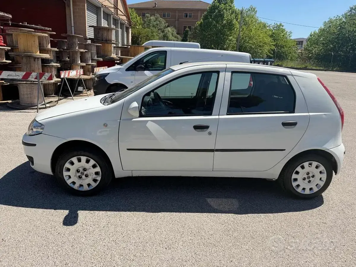 Usata Fiat Punto Active 60 CV (44 kW) 2010 Bianco Utilitaria