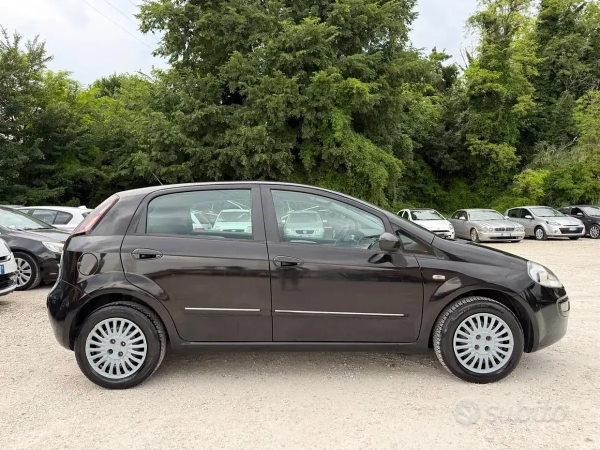 Usata Fiat Punto Evo Active 77 CV (56 kW) 2010 Nero Utilitaria